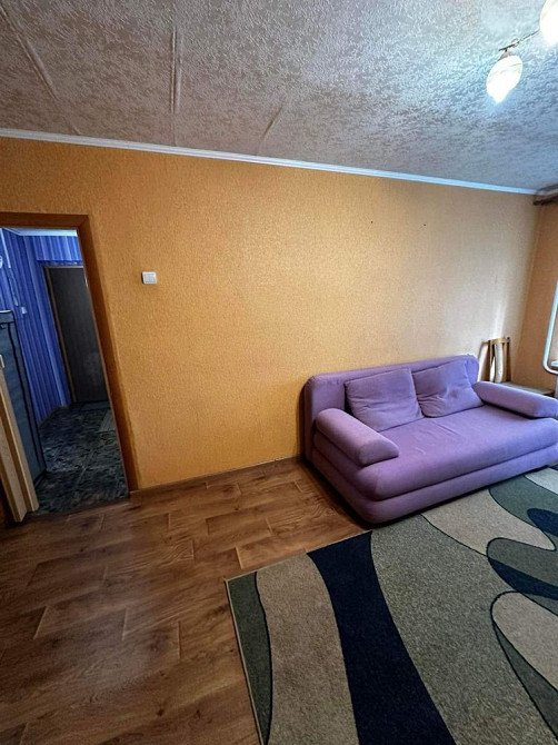 1-К Институт связи, можно животное Полтава - зображення 1