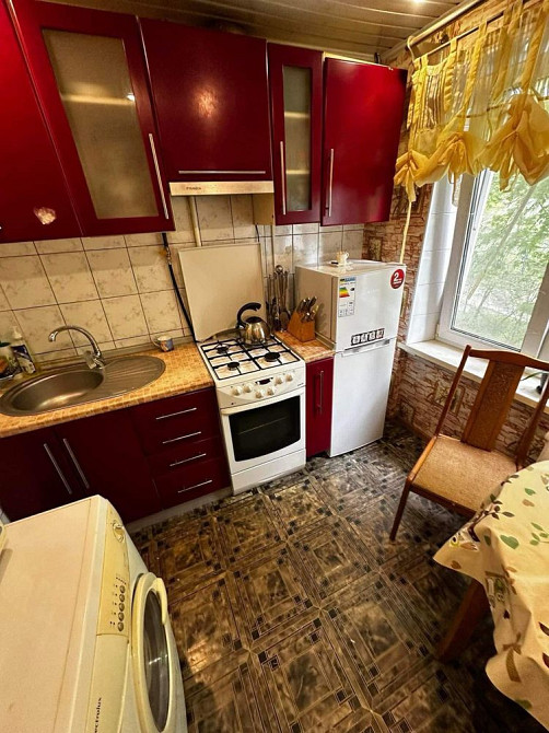 1-К Институт связи, можно животное Полтава - зображення 8