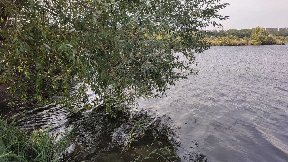 Продам видову 1-к квартиру, 5\16 Харьков - изображение 4