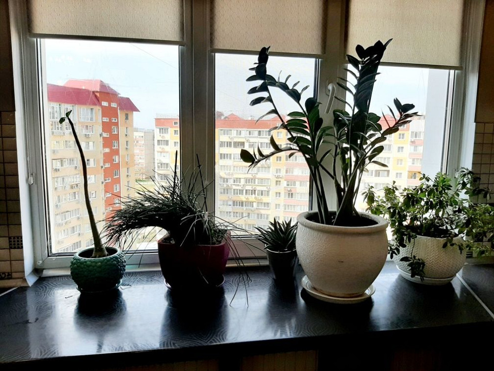 Сдам красивую 2к.кв.в новострое.FINKA Запорожье - изображение 3