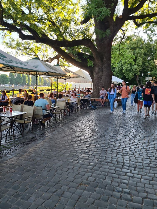 Здається в оренду кв-ра на Корзо у Центрі Ужгород - изображение 3