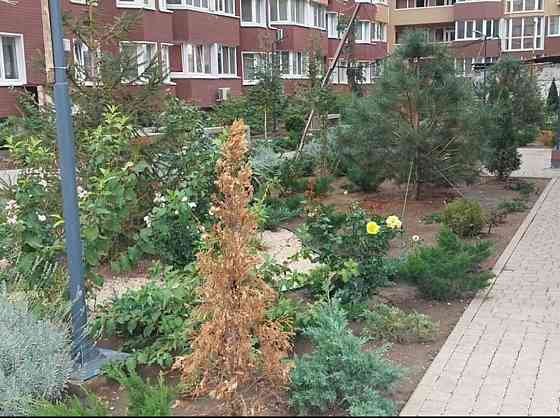 Квартира студія в новому ЖК на Сахарова. Ціна вигідна! Одесса