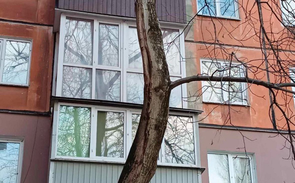 Продам квартиру Гурова 37 Кривой Рог - изображение 8