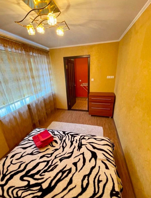 Зигіна. Здається 2-х кімнатна квартира Полтава - изображение 7