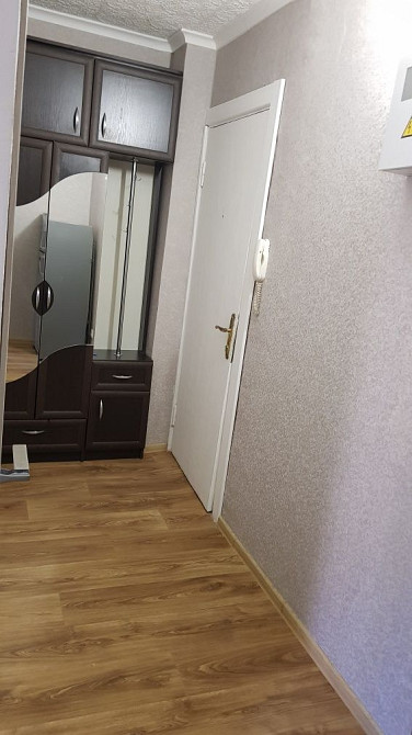 1 комнатная квартира на Васякина 2 рядом проспект гагарина и парк Кривой Рог - изображение 4