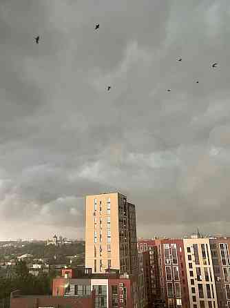 Реальна оренда 1 кім. Квартири в жк Семицвіт! Центр міста ! Львов