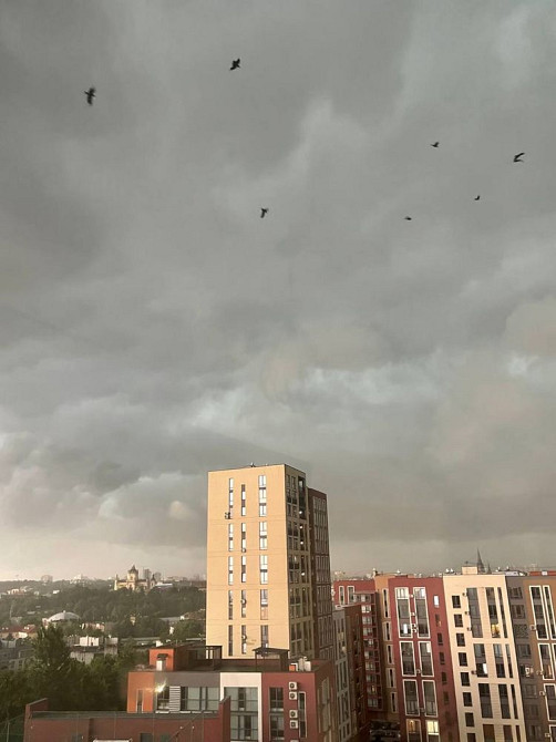 Реальна оренда 1 кім. Квартири в жк Семицвіт! Центр міста ! Львов - изображение 5