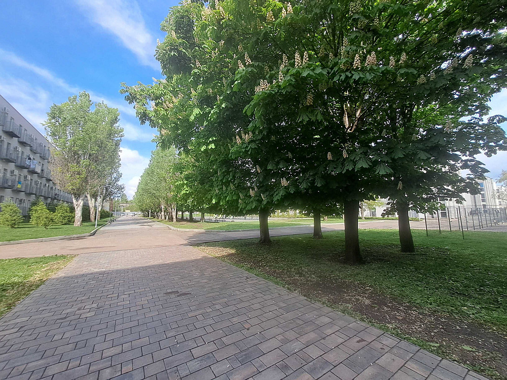 1 комнатная на Боровского/ Золотые столбы Одесса - изображение 8