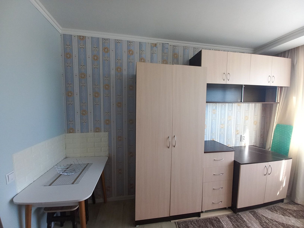 Здається 1но кімнатна 17кв.м. після ремонта Кропивницький - зображення 4