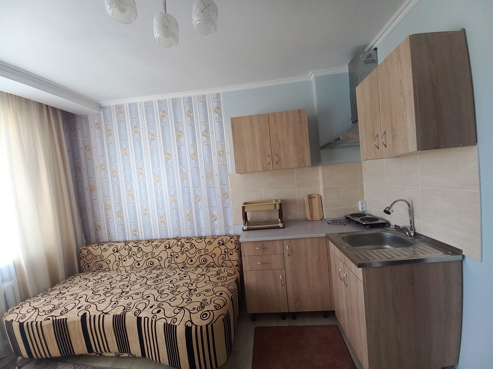 Здається 1но кімнатна 17кв.м. після ремонта Кропивницький - зображення 3