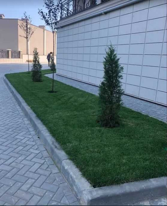 Квартира в сданном доме возле моря и пляжа! Одесса - изображение 8