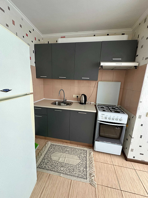 Оренда 1 к квартири ЖК Євромісто Крюківщина - зображення 4