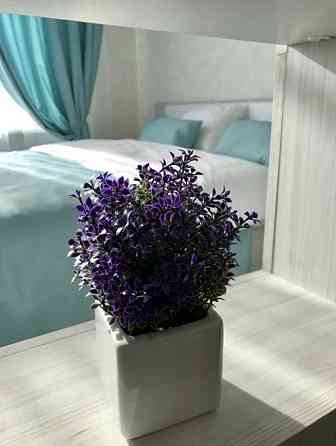 Сдам , 43 жемчужина , терраса , Каманина ‼️ Аркадия Одесса