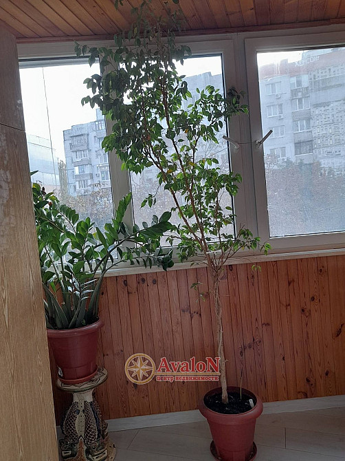 3-к.чешка на Висоцького/Семена Палія Одесса - изображение 3