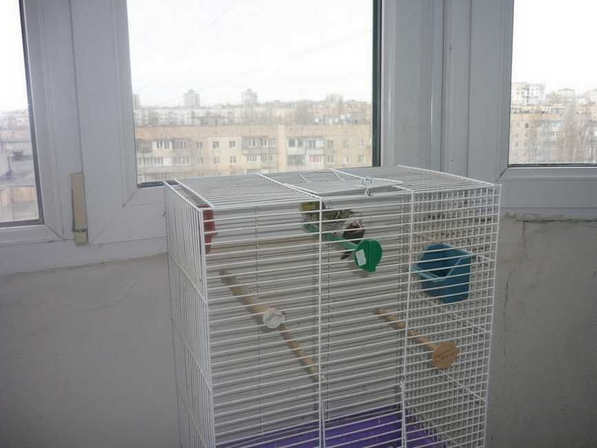 Большая квартира на Семена Палия, действуют Держ.програми. Одесса - изображение 7