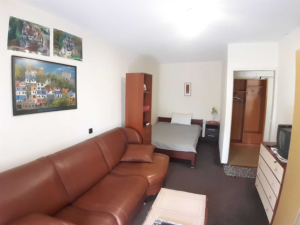 Оренда 1 кімн. квартири біля ст. м. Палац спорту, Кловська Київ - зображення 1