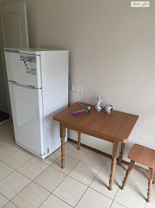 Сдам 1к квартиру И.Мазепы Петровского Металлургов Чеботарева Нигояна Дніпро - зображення 2