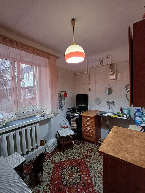 3 чешка в хорошому районі Черновцы - изображение 3