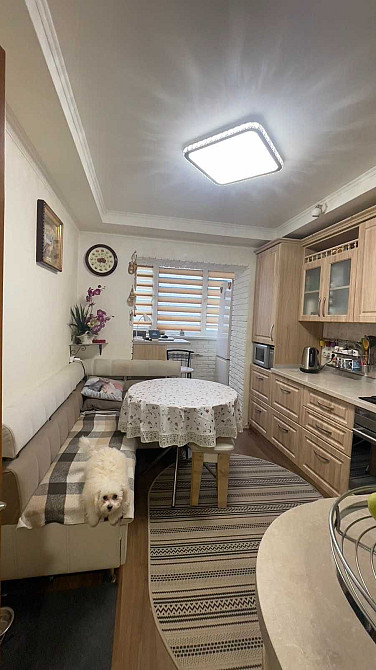 1-комнатная квартира ЖК Микромегас на ул. Сахарова кирпичный дом Одесса - изображение 3