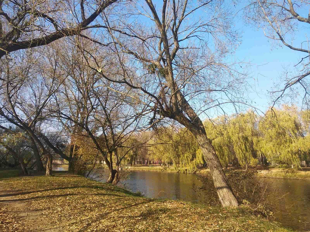 РОЗТЕРМІНУВАННЯ від забудовника до 5 років на 1к квартири! Чабаны - изображение 7