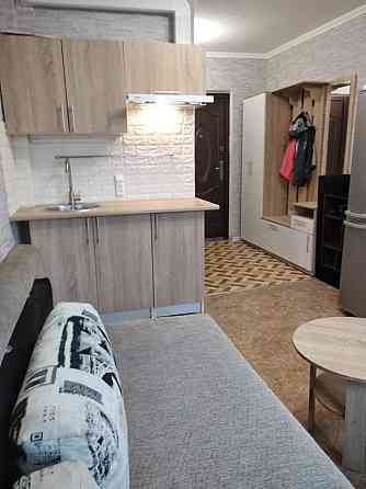 Смарт квартира- студія Кам`янське (Запорізька обл.)