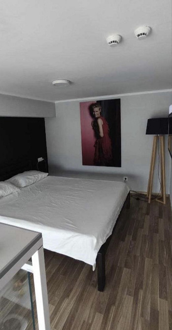 Квартира двух этажная Студия + спальня возле м Берестейская Киев - изображение 5