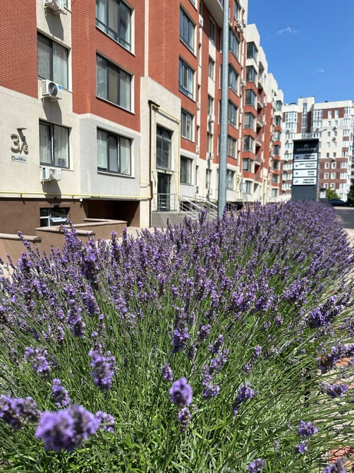 1-кімнатна квартира в ЖК Золота Ера Крижанівка - изображение 6