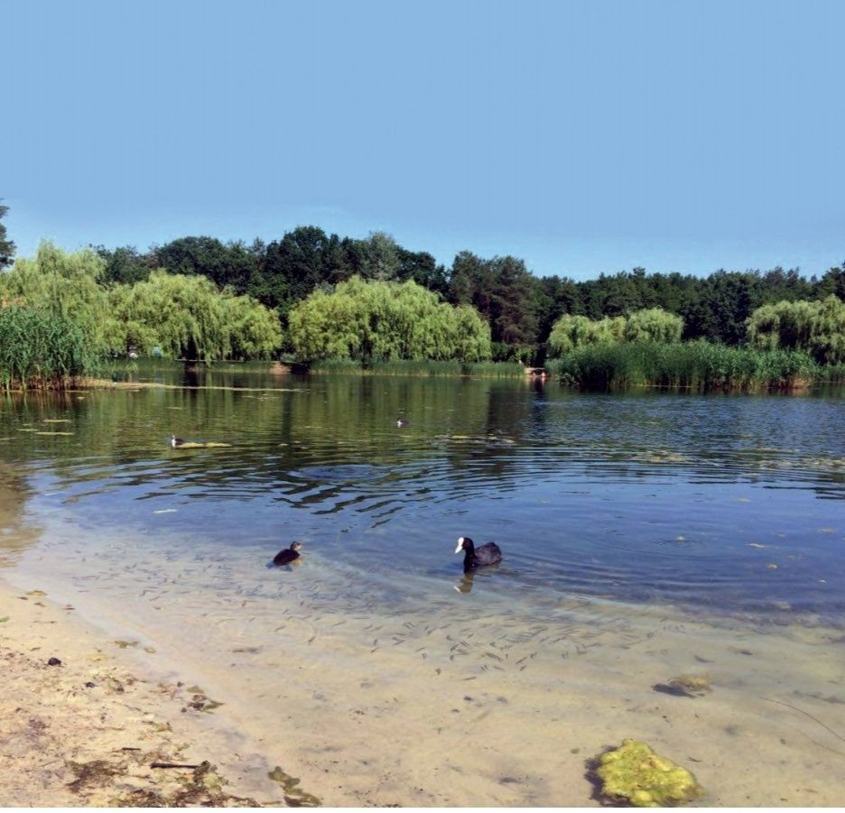 Продаж квартири з документами,по шикарній ціні 13,250$,від забудовника Київ - зображення 8