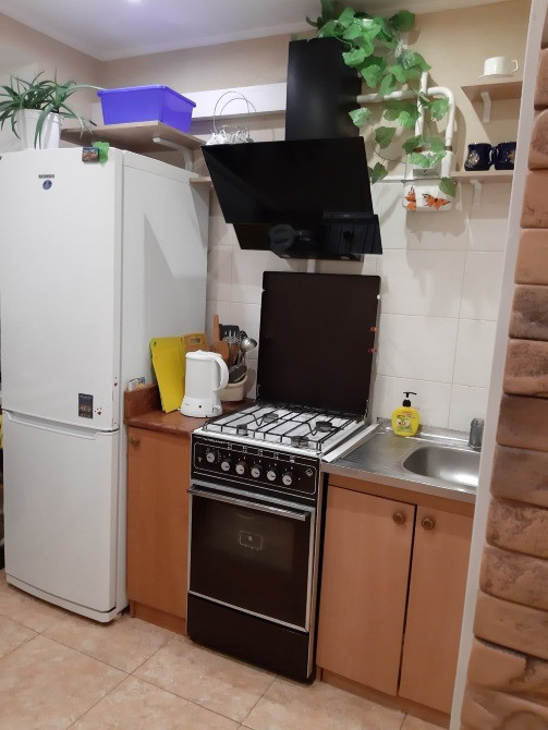 Продам 2-х комн.квартиру в пгт Мелиоративное Меліоративне (Новомосковський р-н) - зображення 3