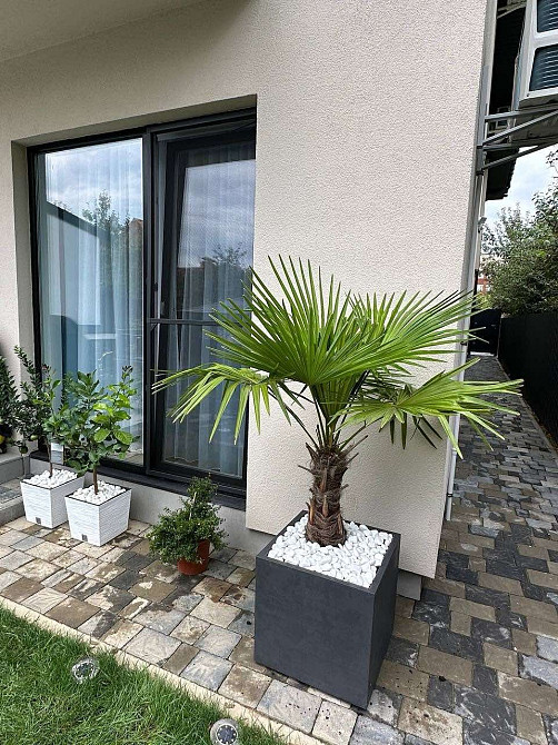 Продається квартира зі своїм двориком Ужгород|Garden|VIP Ужгород - изображение 1