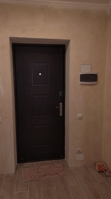 Продается 1 комнатная крупногабаритная квартира в с. Партизанское(Орел Партизанське (Дніпропетров.р-н) - зображення 7