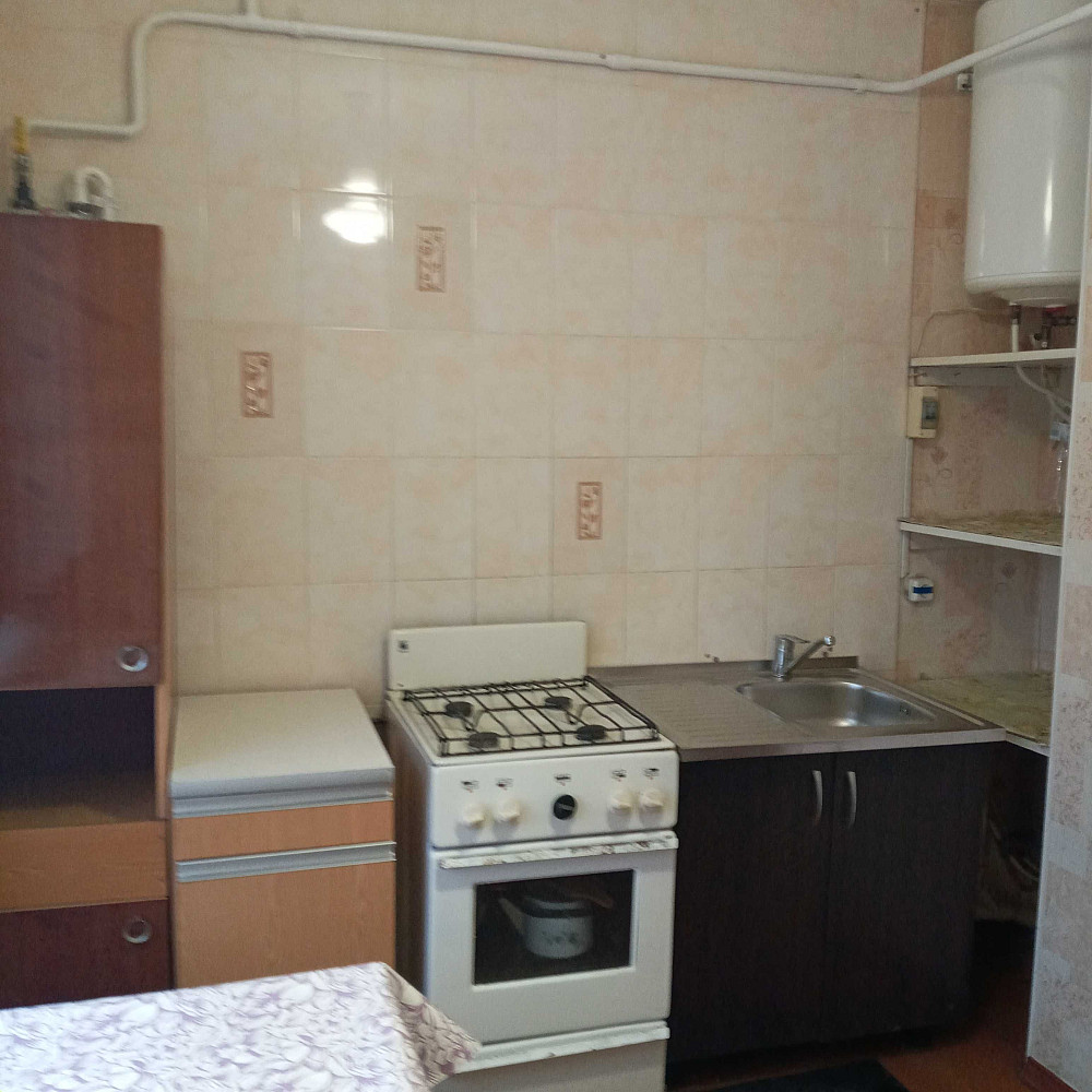 Сдам 1-комнатную квартиру ул.Спасская на длительный срок от хазяина Кривий Ріг - зображення 5