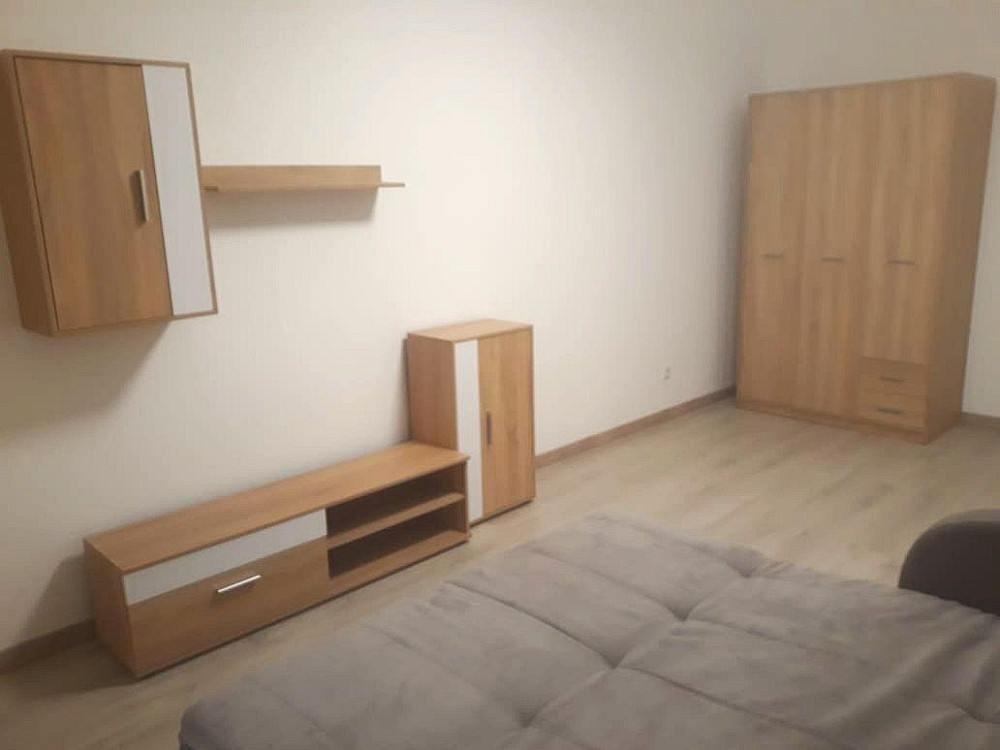 Оренда 1к квартири Стрийська, 115 Зубра - изображение 2