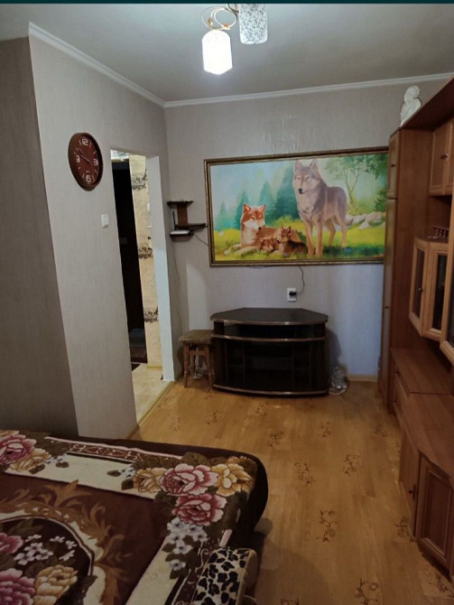 Аренда 1к квартиры на Шоссейной Миколаїв - зображення 1