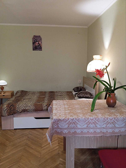 Оренда 2 кімн.квартири вул. Тернопільська, паркова зона Львів - зображення 3