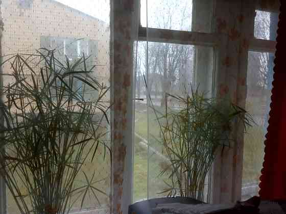 Продам 3х квртиру Харків