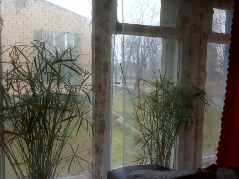 Продам 3х квртиру Харків - зображення 4