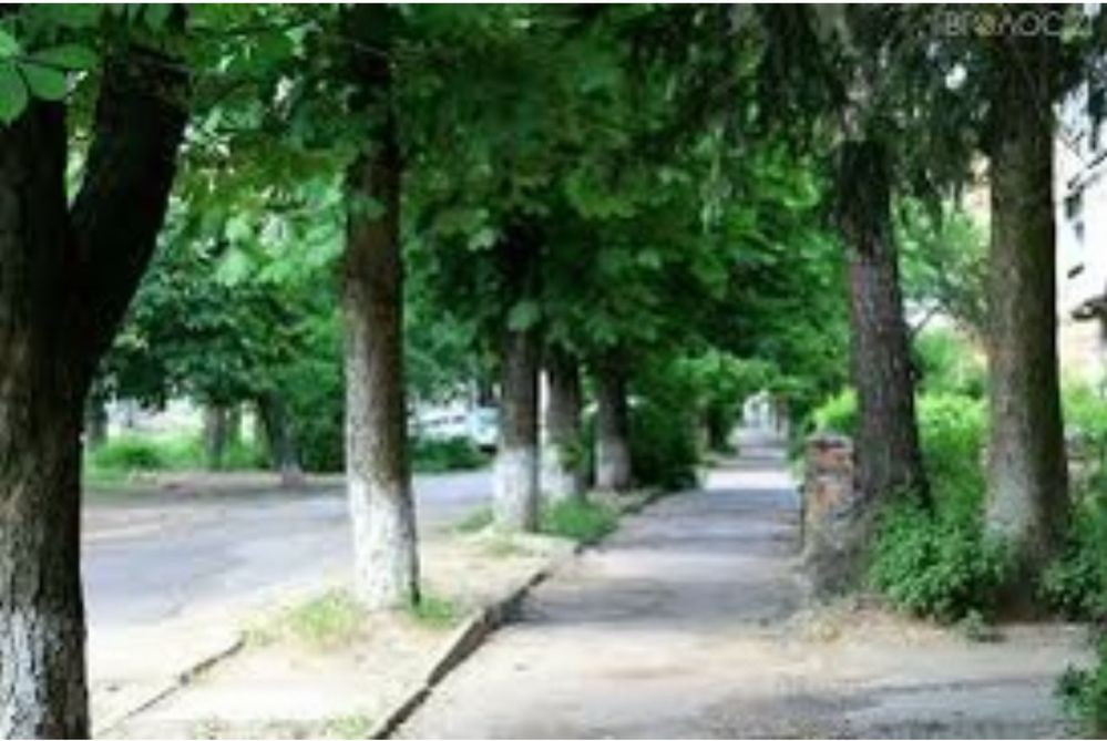 1-но кімнатна квартира, Богунія, вул. Офіцерська Житомир - изображение 4