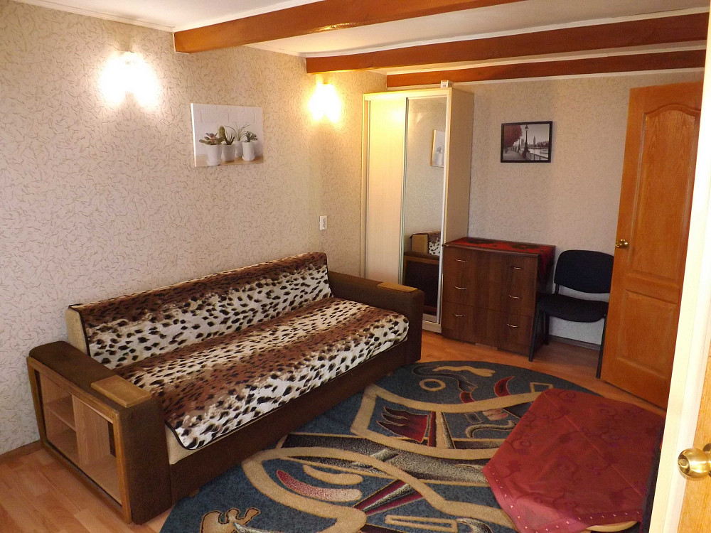 Сдам 1-ком квартиру ул. Виноградная, оплата за 1 месяц (без залога) Святопетрівське (Києво-Свят.р-н) - зображення 1