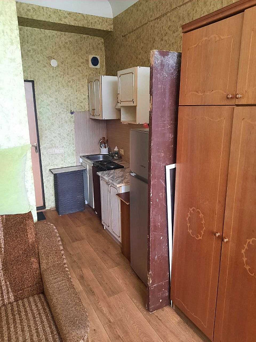 Сдаем студию на Холодной Горе. Можно животные. Харків - зображення 4