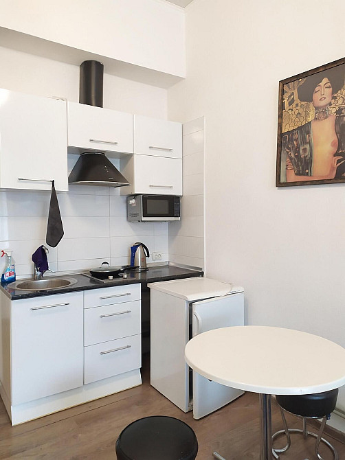 Сдам 1к. кв.в Центре. Метро Исторический Музей. ОПЛАТА ТОЛЬКО ЗА СВЕТ! Харків - зображення 4