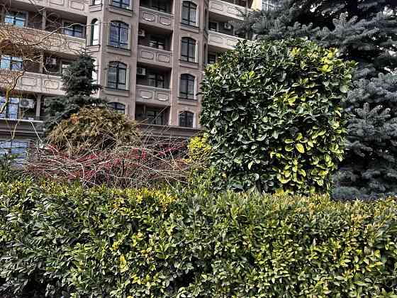 Елегія Парк довгостроково без подорожчання. Одеса