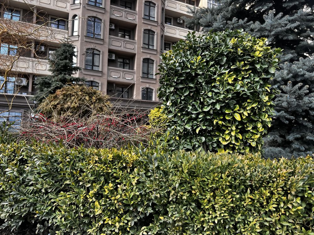 Елегія Парк довгостроково без подорожчання. Одеса - зображення 1