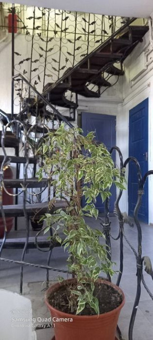 Сдам 1 ком квартиру ближайшее метро Бориспольская харьковская хозяин Київ - зображення 2