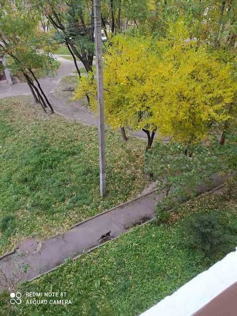 Оренда квартири по вул.Шафарика Львів - зображення 1