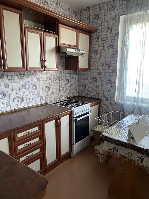 Аренда долгосрочная 1 комнатная квартира 5 Заречный Кривий Ріг - зображення 3