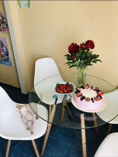 Оренда квартиры Бородинский Запорожье - изображение 1