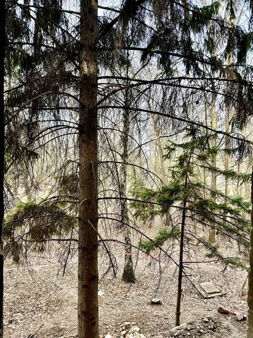 Продам квартиру в клубном доме п.Опытный Дослидное - изображение 4