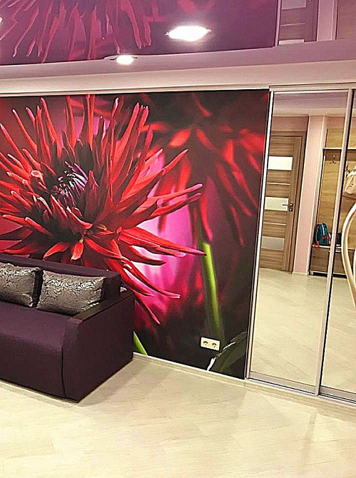 Сдается однушка. Аллея роз. Запорожье - изображение 8