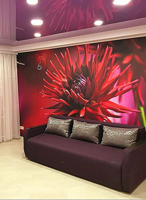 Сдается однушка. Аллея роз. Запорожье - изображение 1